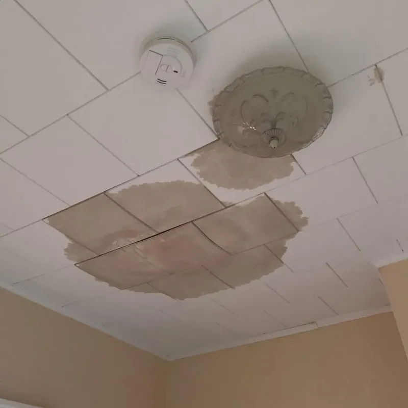 Ceiling Water Damage Repair in Tate County, MS