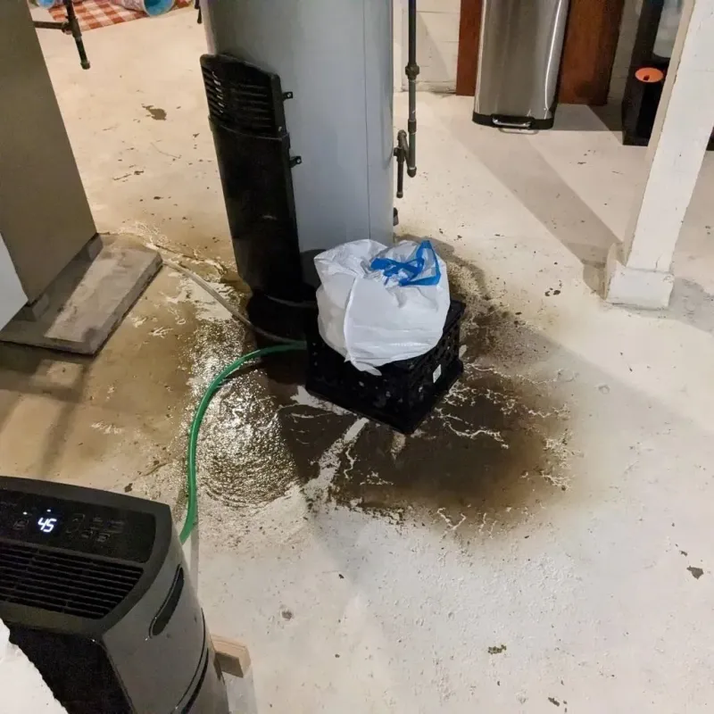 Sewage Backup Cleanup Service in Tate County, MS